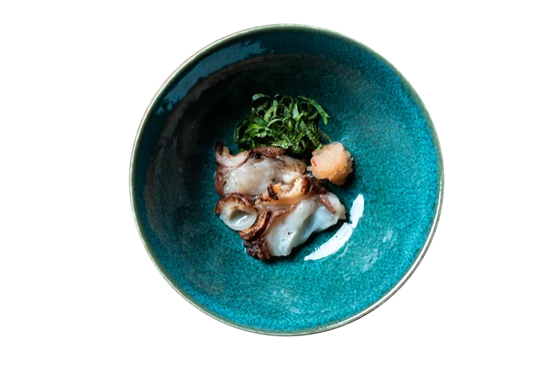 活きたこの炙り焼き